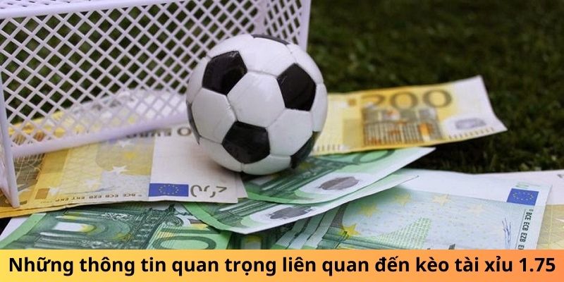 Những thông tin quan trọng liên quan đến kèo tài xỉu 1.75